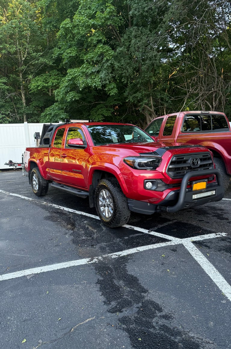 Red Toyota Tacoma pickup truck parked in a parking lot with trees in the background